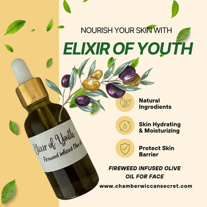 Elixir of Youth: Fireweed Infused Nourishing Face Oil with Olive Oil