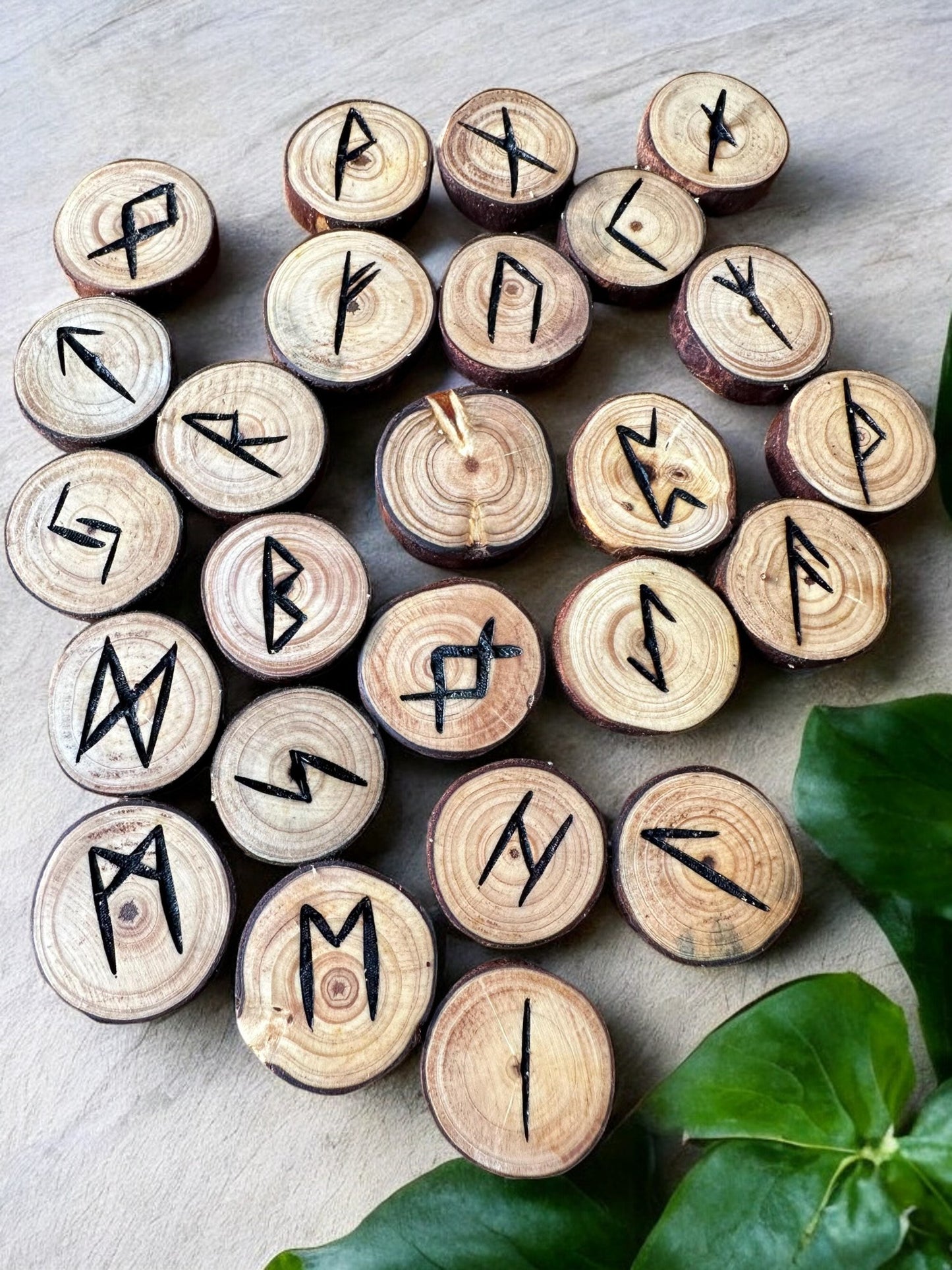 Pine Tree Wood Runes Set with Interpretation Guide - 25 Elder Futhark Runes